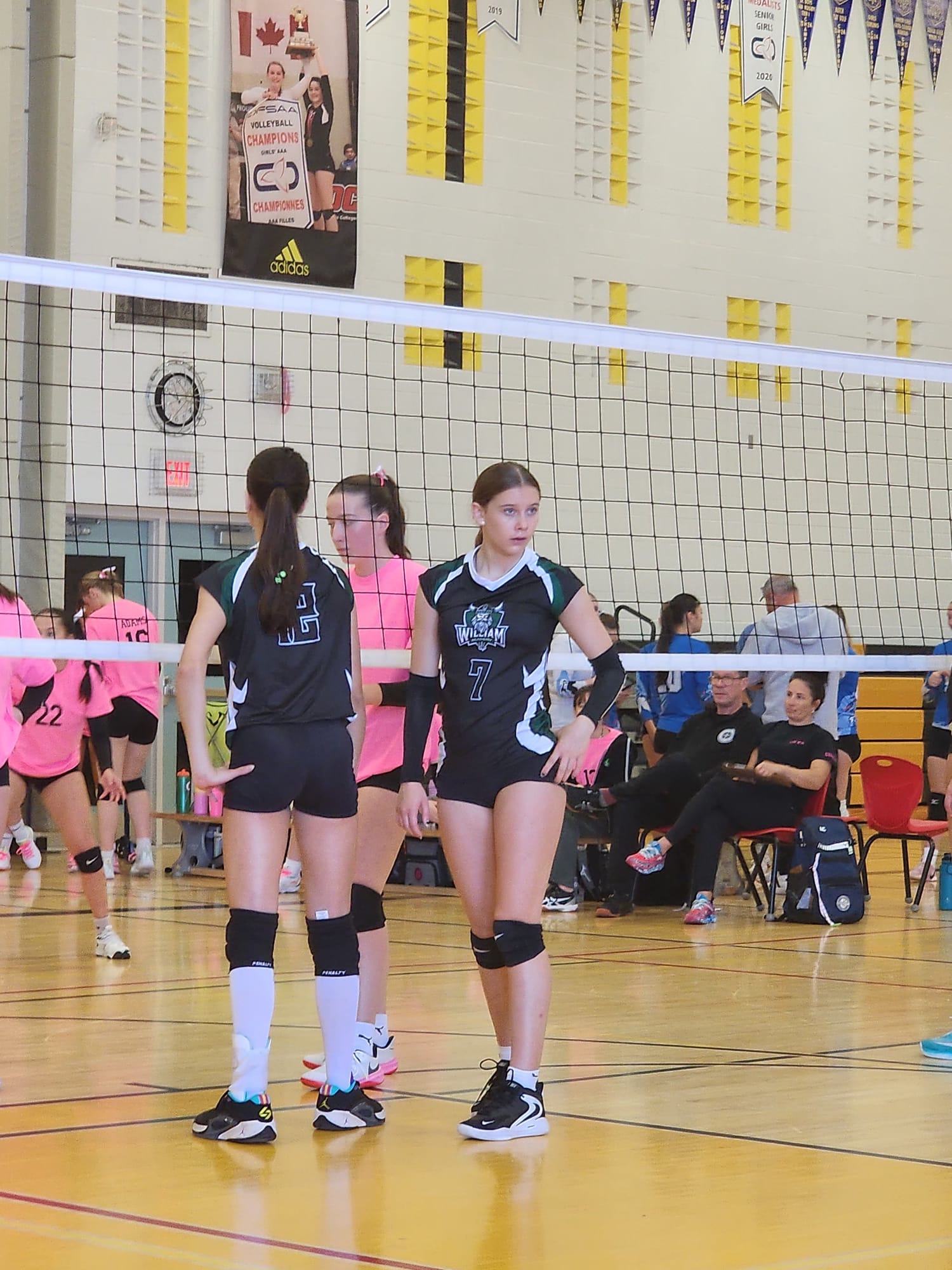 Vikings volleyball at the net